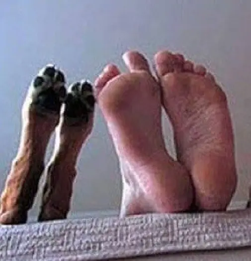 Condolence image of Frauli