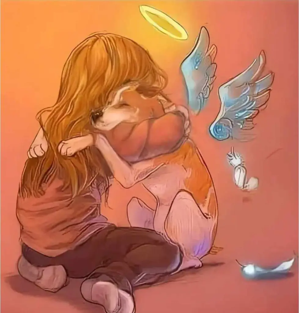 Condolence image of Frauli