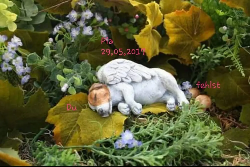 Condolence image of Frauli