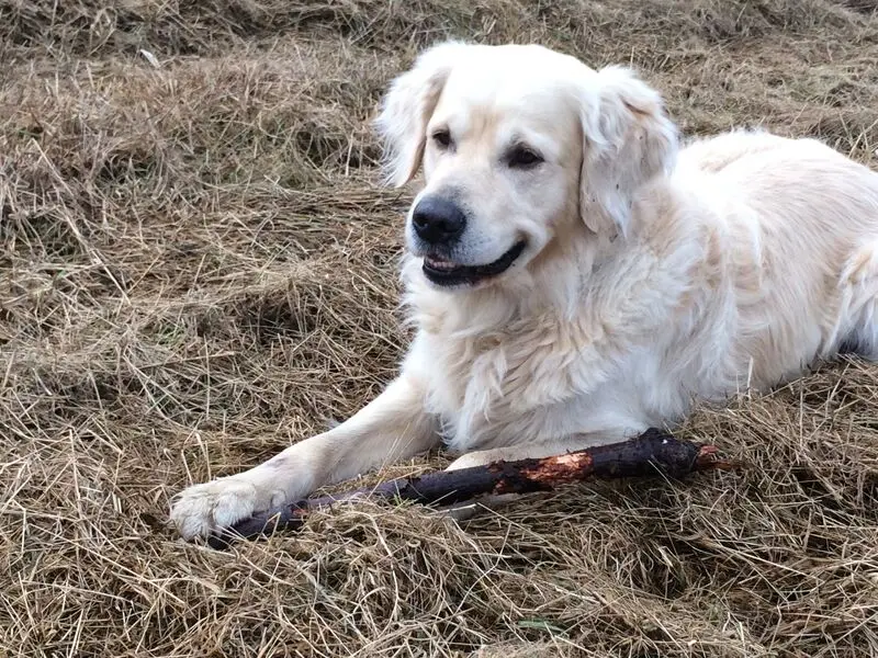 Condolence image of Andy und Piet
