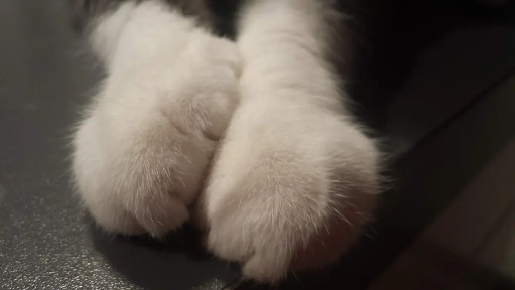 Image from Babettchen