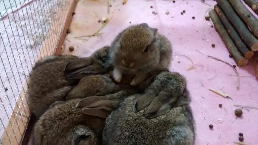 Condolence image of Tania