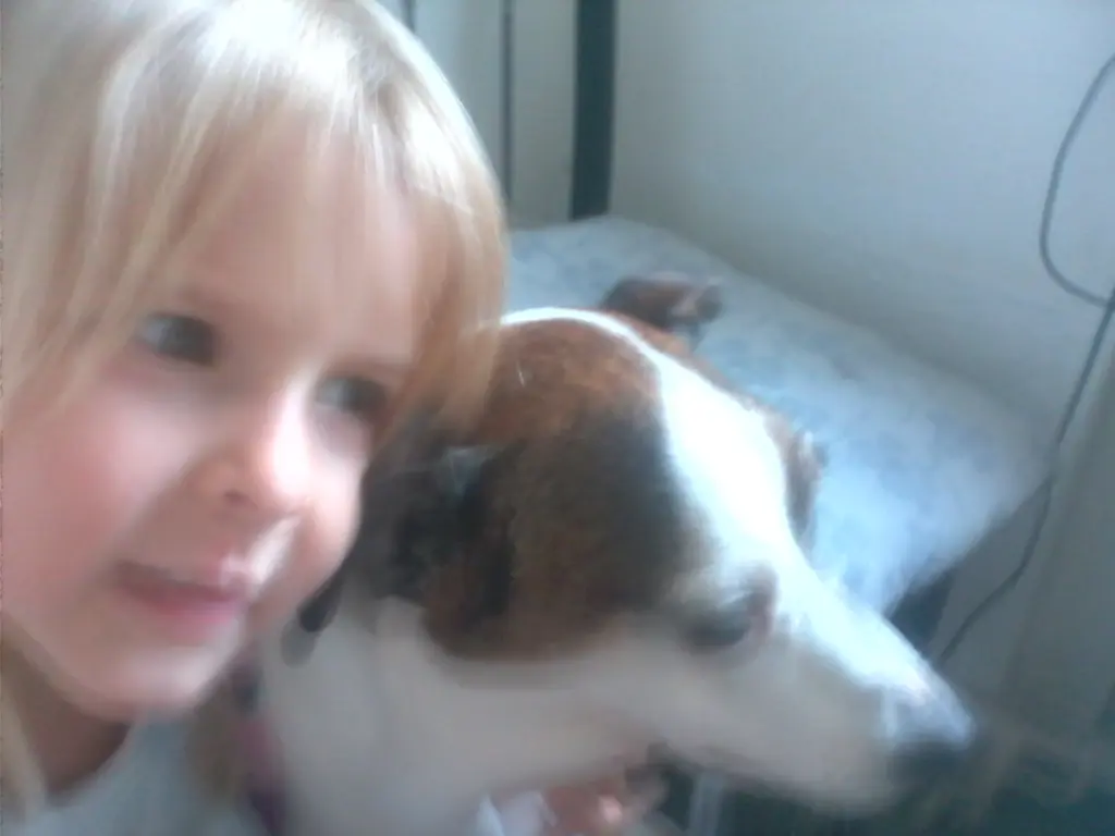 Image from Rustie
