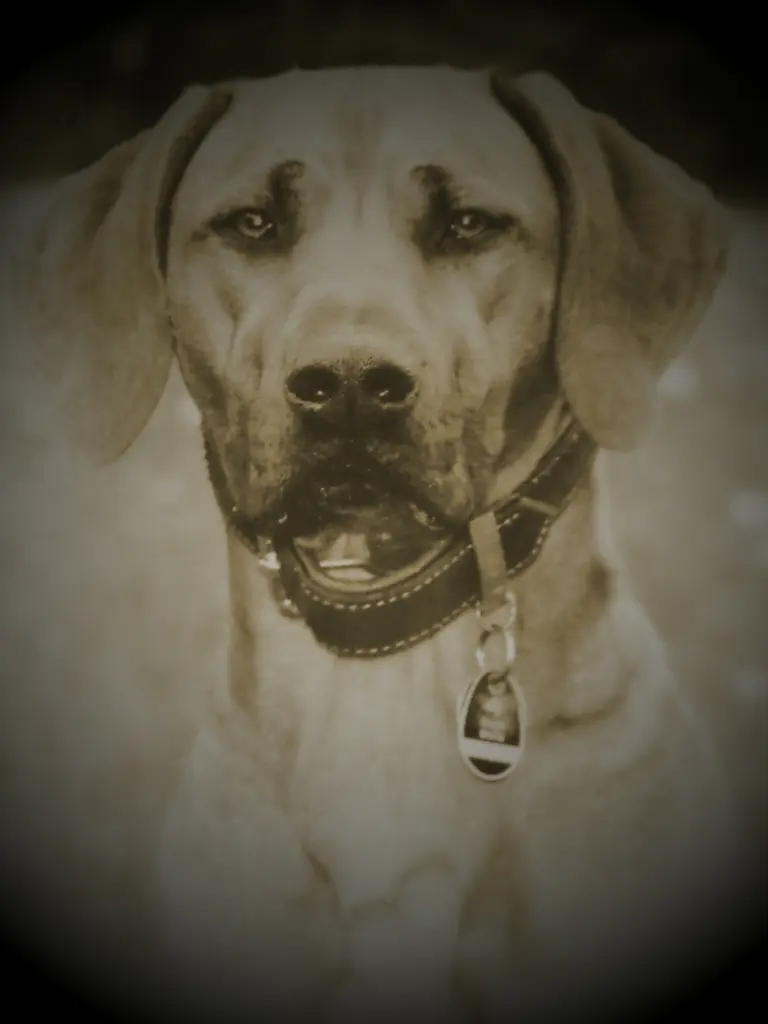 Image from Alina
