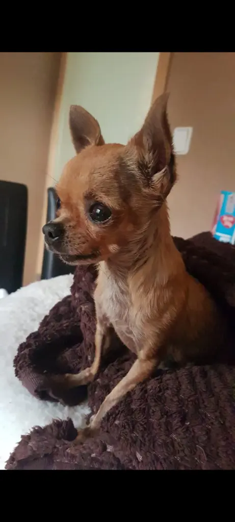 Condolence image of Melanie