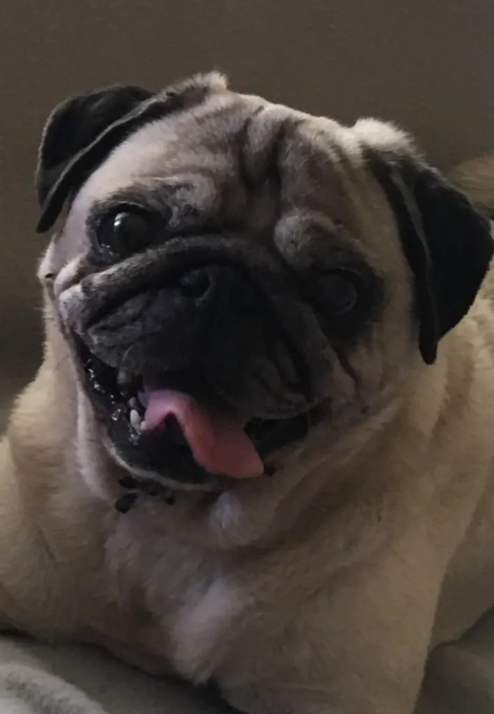 Condolence image of Linda 