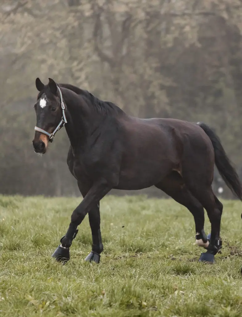 Condolence image of Patricia 