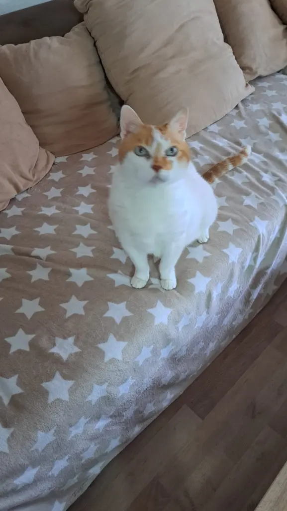 Condolence image of Deine