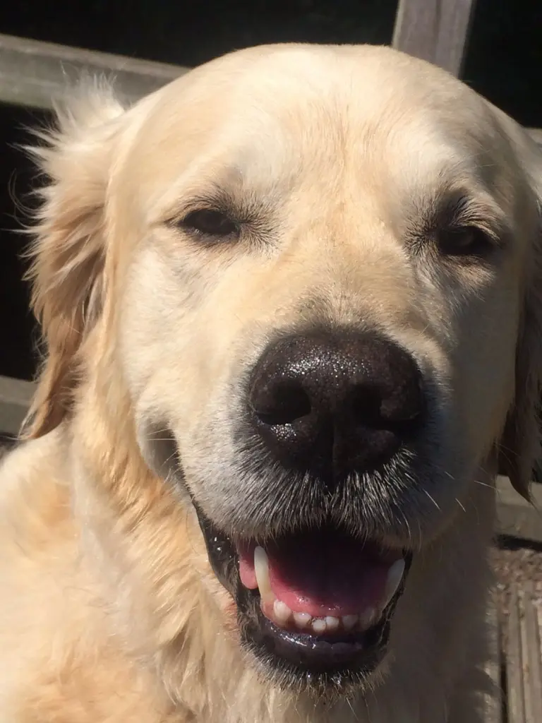 Condolence image of Andy und Piet ❤️