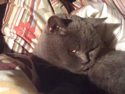 Image from Filocuhen