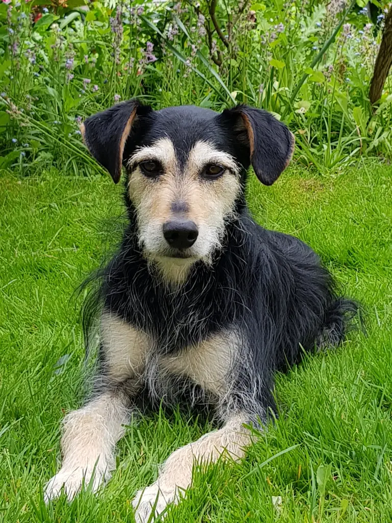 Condolence image of Martina Lindemann