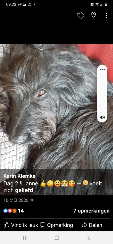 Condolence image of Karin 