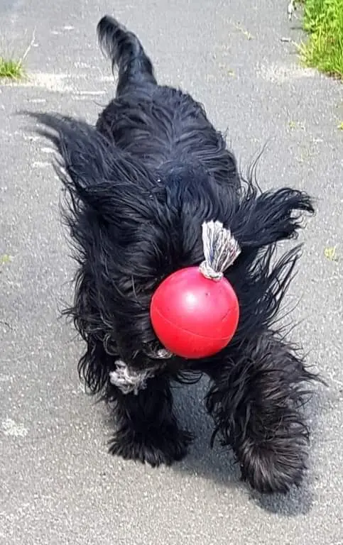 Condolence image of Sabine