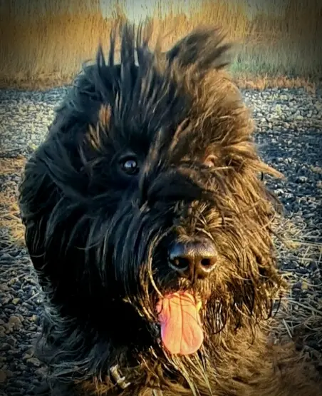 Condolence image of Sabine