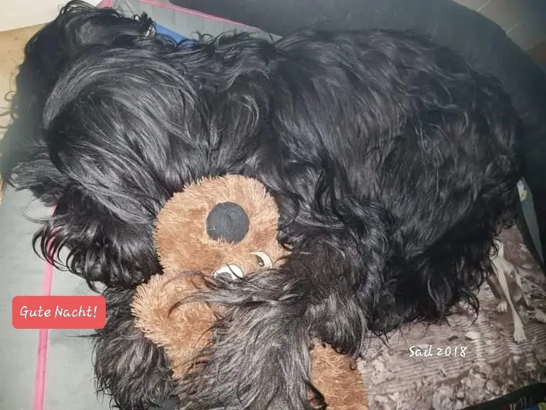 Condolence image of Sabine