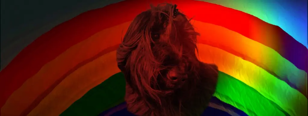 Condolence image of Sabine