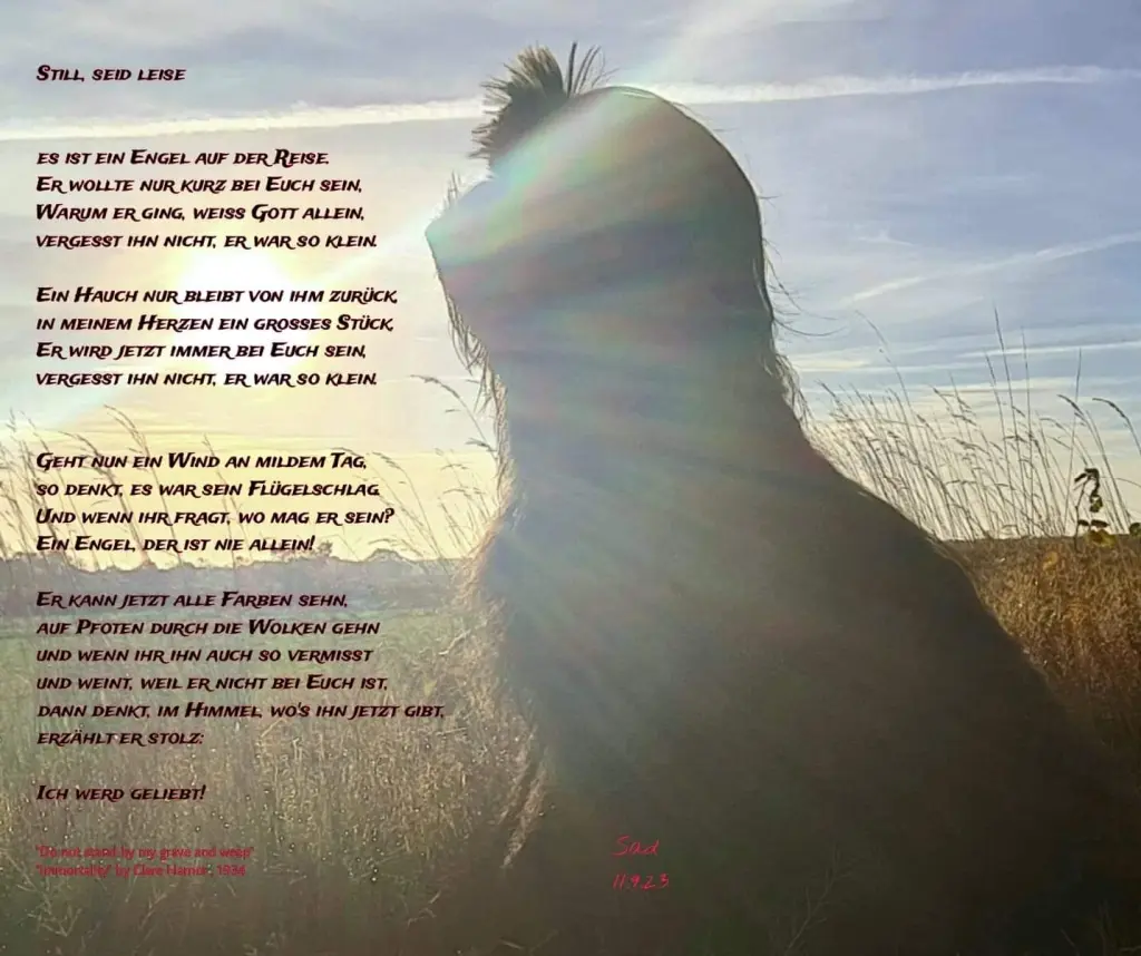 Condolence image of Sabine 