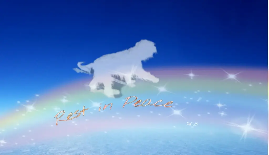 Condolence image of Sabine