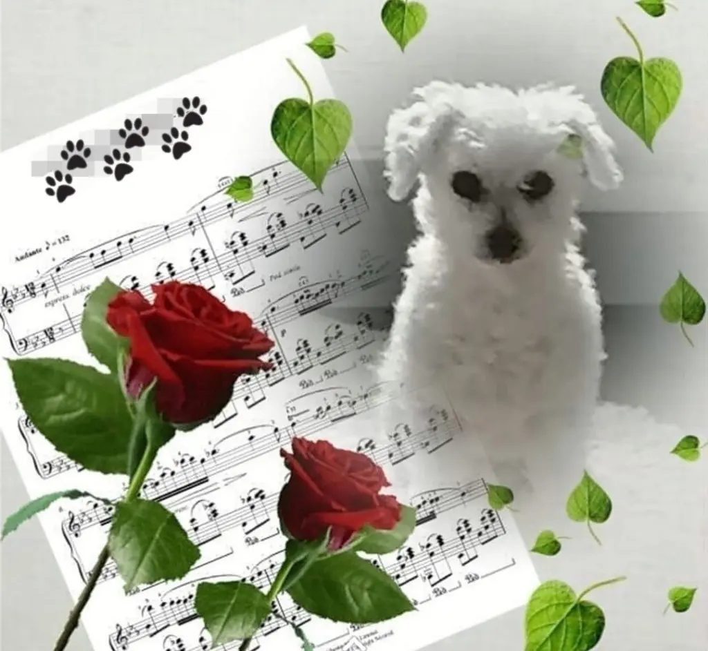 Condolence image of Gaby mit Snowy* im Herzen