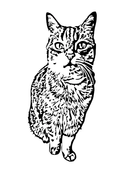 Condolence image of Stephanie