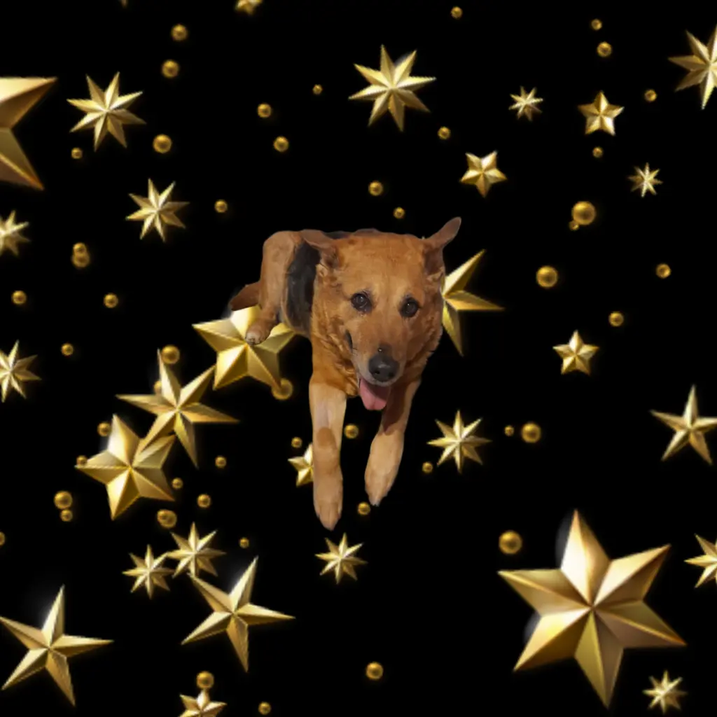 Condolence image of Markus