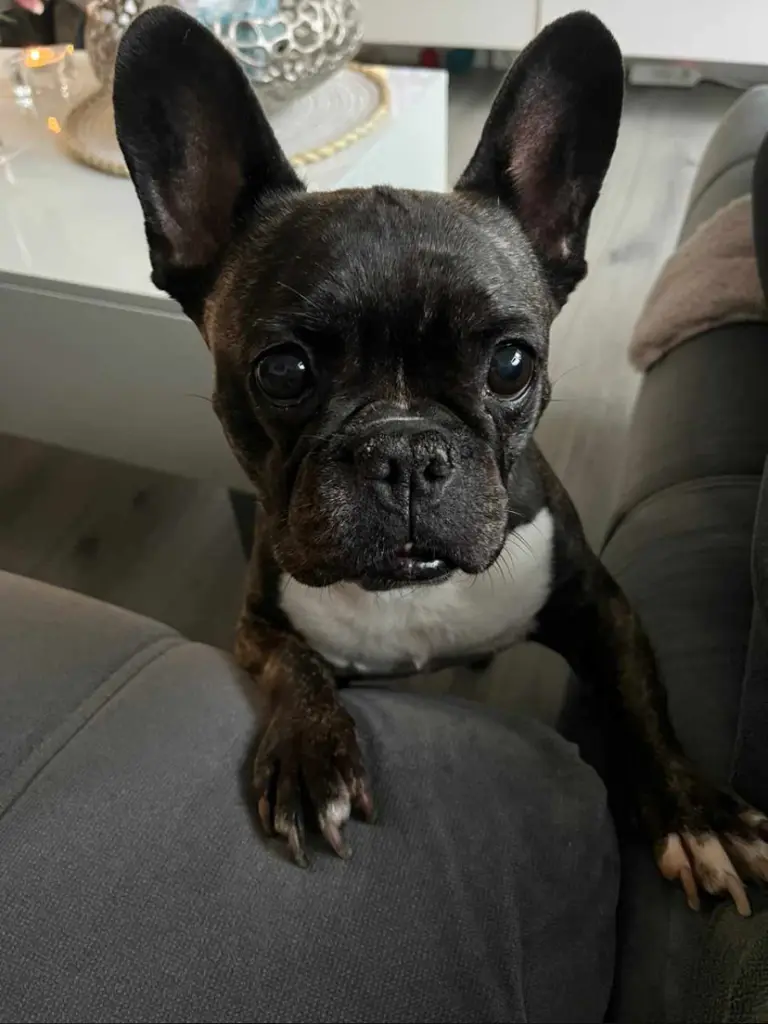 Condolence image of Kevin