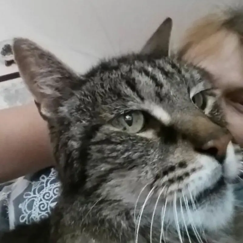 Condolence image of Carola 