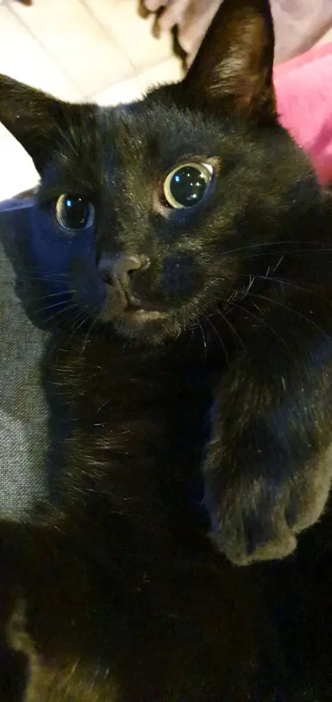 Condolence image of Christian Pilot