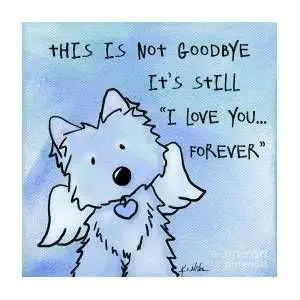 Condolence image of Andrea mit Minki im ♥️