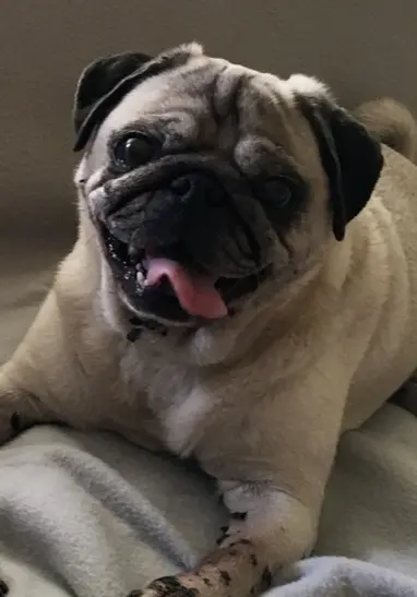 Condolence image of Linda 