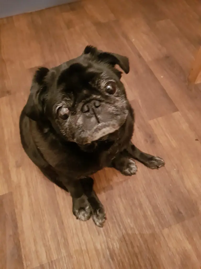 Image from Fögas