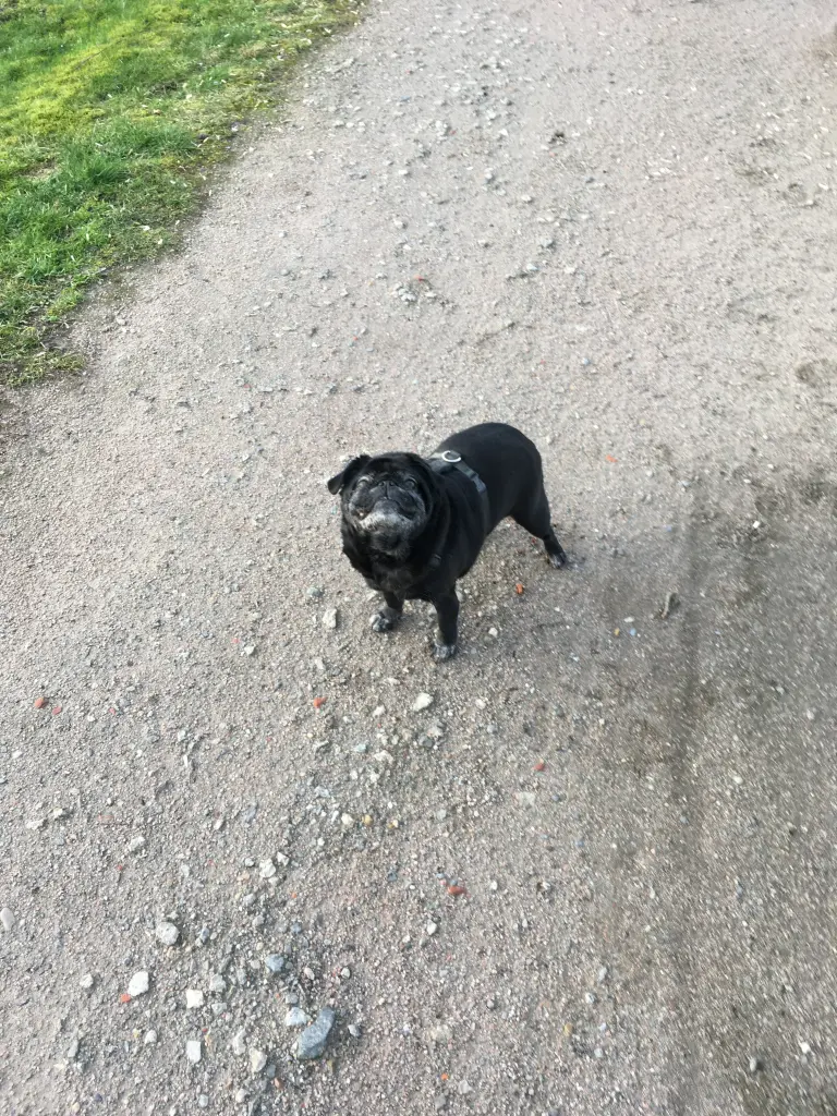 Image from Fögas