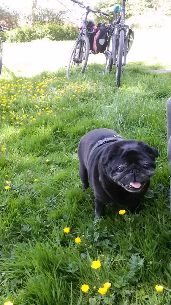 Image from Fögas