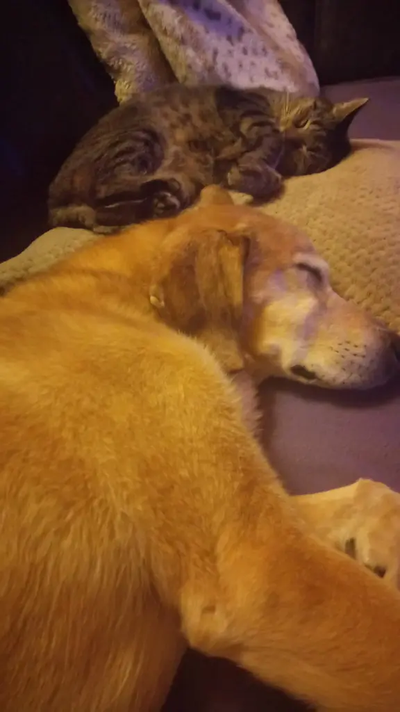 Condolence image of Erika mit Valentina *01.10.2009+18.04.2023