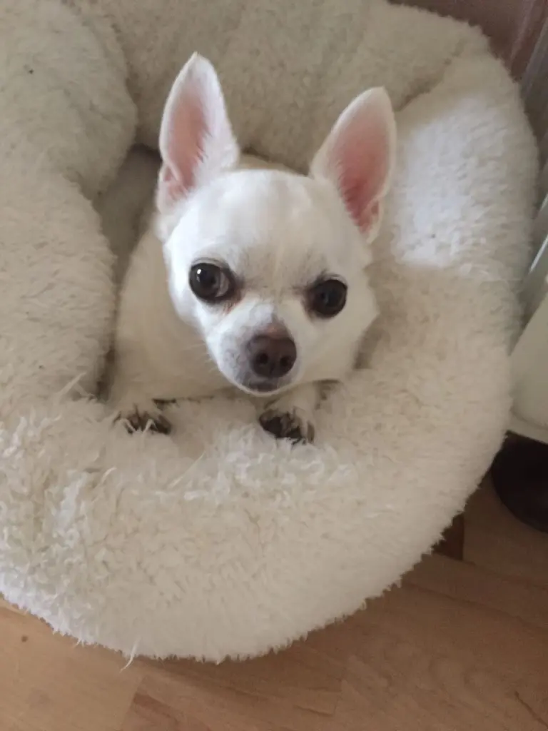 Condolence image of Silke und Armin mit Ilay im Herzen