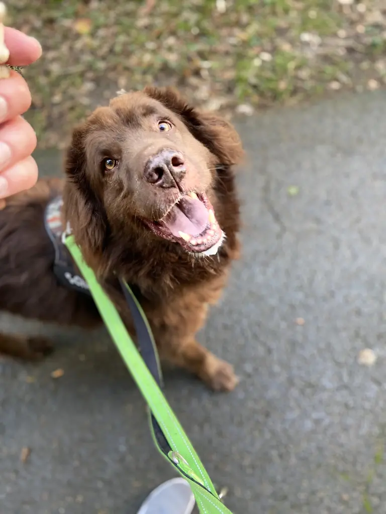 Condolence image of Katharina  Schmitz 