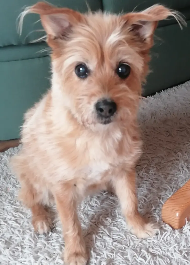 Condolence image of Gaby