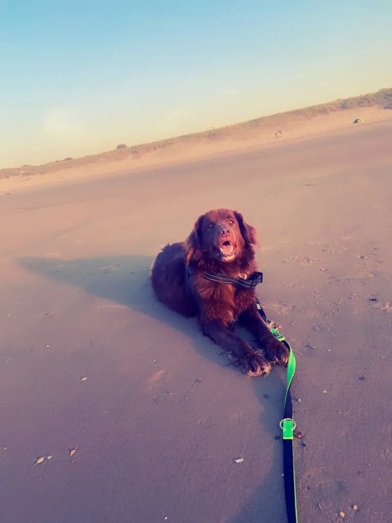 Image from Choko Brownie Rainbow