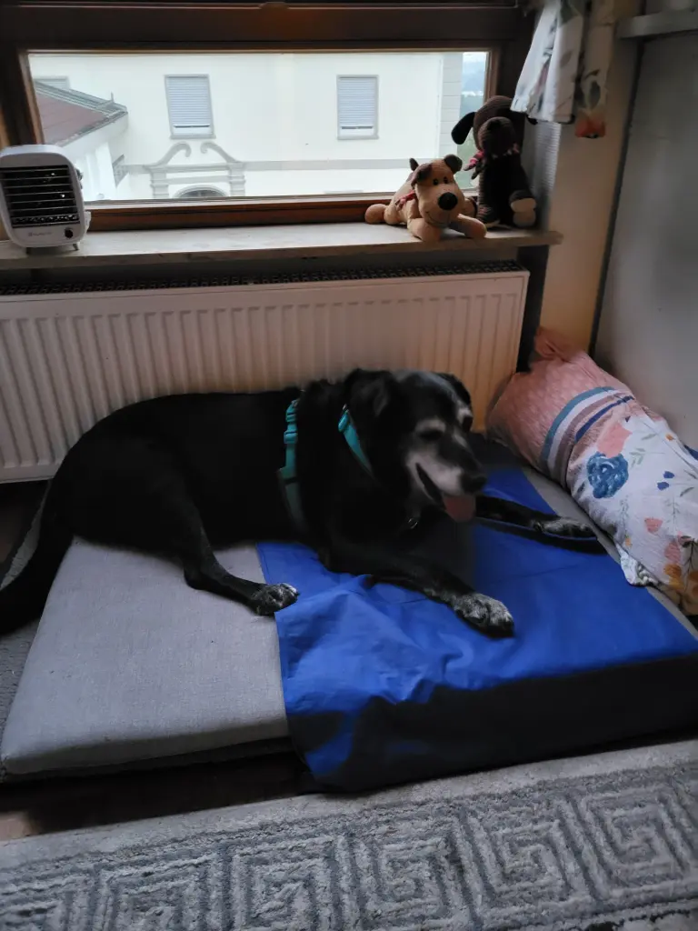 Condolence image of Uta