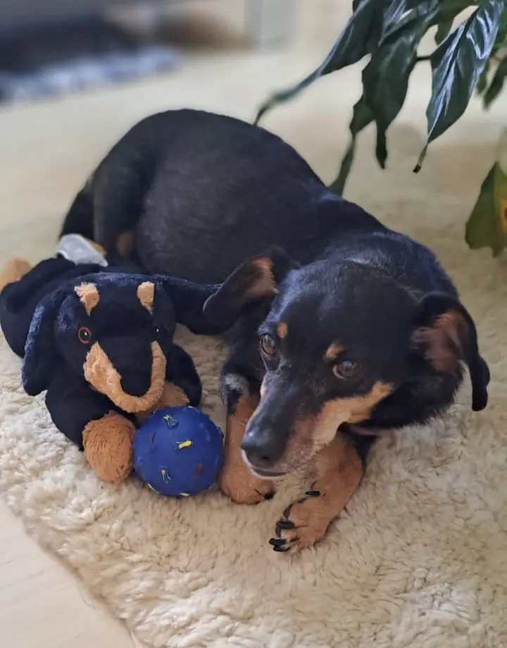 Condolence image of Kerstin und Thomas
