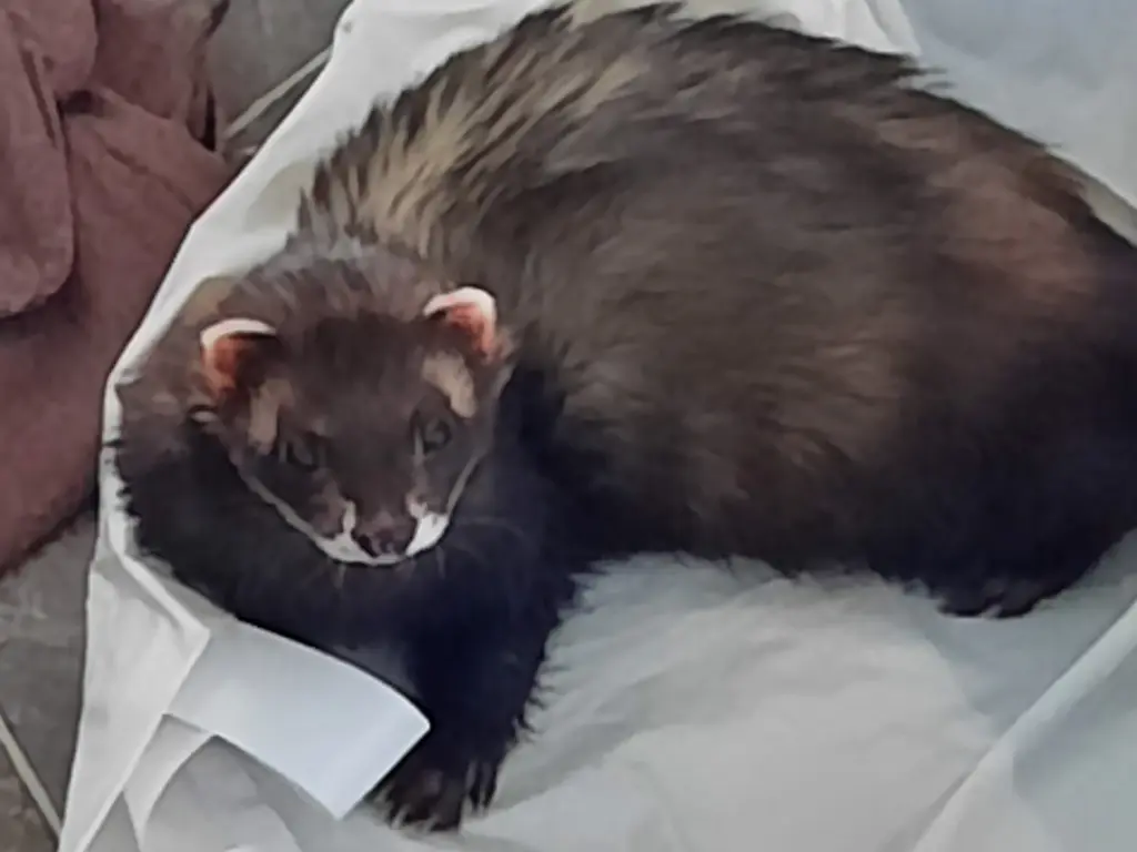 Condolence image of Unbekannt