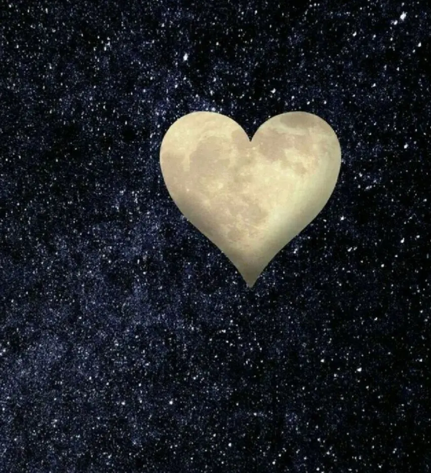 Condolence image of Andrea mit Mausi im Herzen 