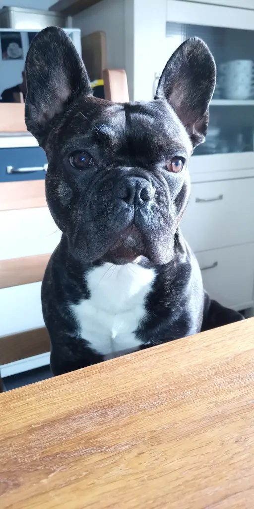 Condolence image of Grit und Mailo