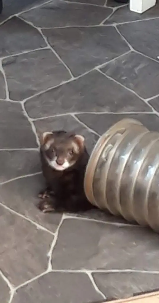 Condolence image of Unbekannt