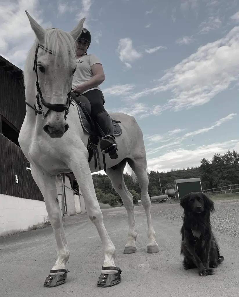 Image from Bandolero