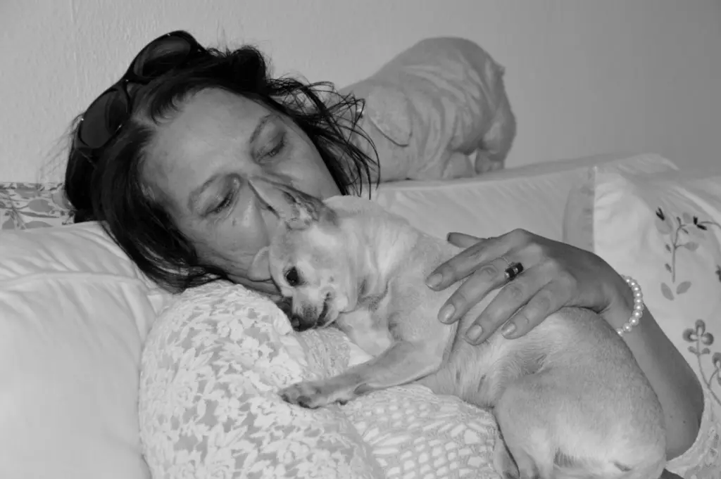 Condolence image of Sabine Deine Familie