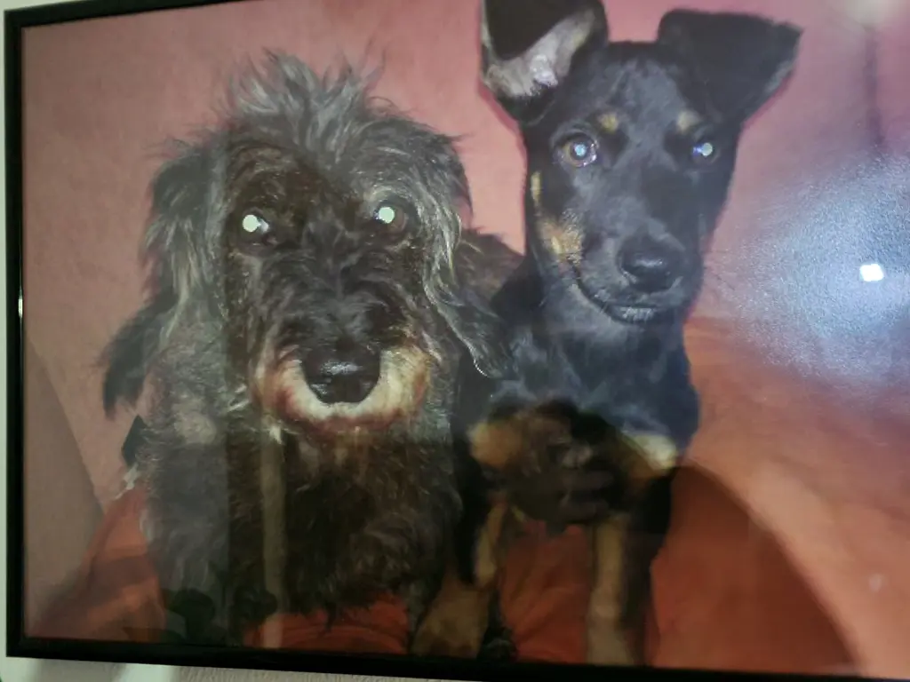 Condolence image of Cordula 