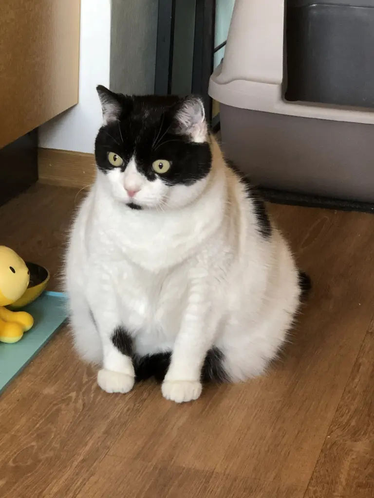 Condolence image of Ursula