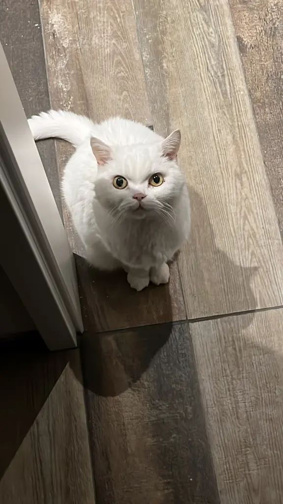 Condolence image of Unbekannt