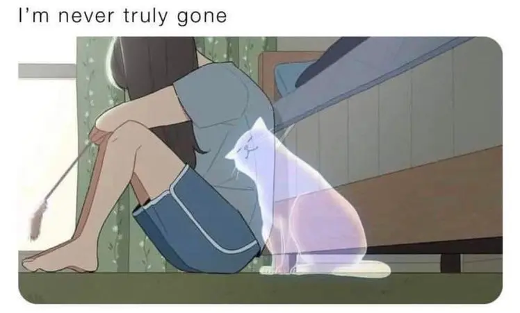 Condolence image of Unbekannt